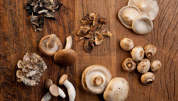 mushroom benefits
