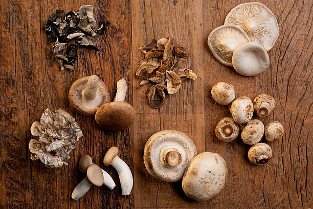 mushroom benefits