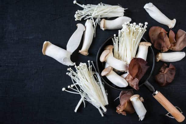 mushroom benefits