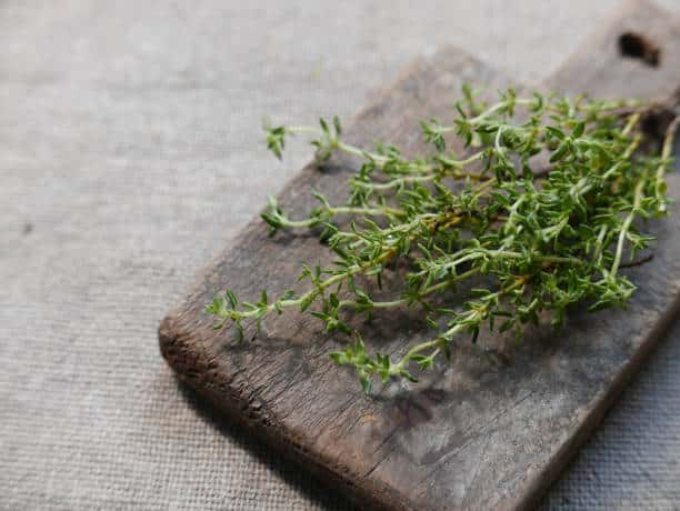 thyme